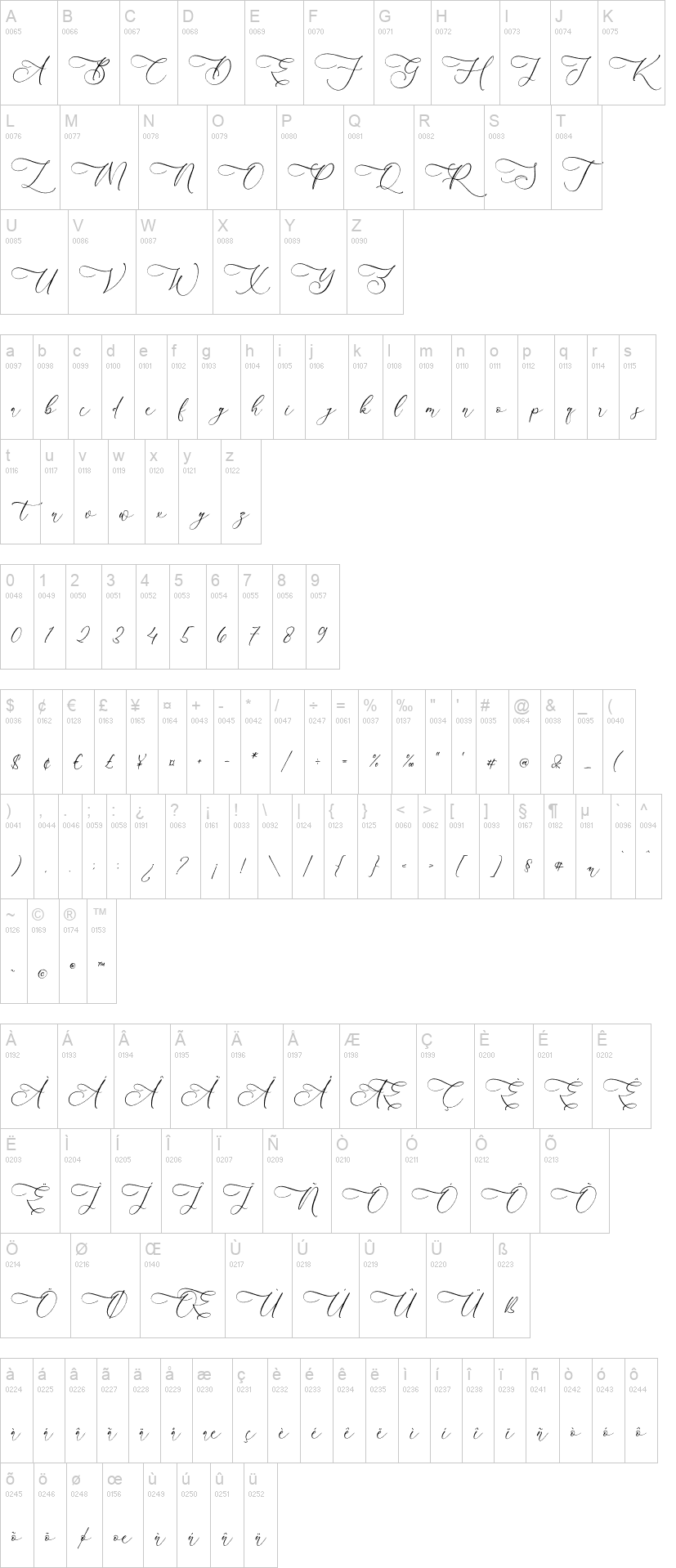 Andora Modern Script