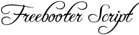 http://www.dafont.com/img/preview/f/r/freebooter_script1.png