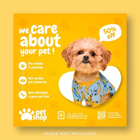 we care // pet shop, pls