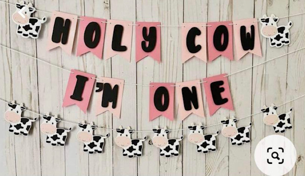 Font Identification Help