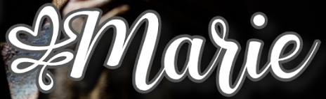 I can't remember the name of this font : can you help me please ?
