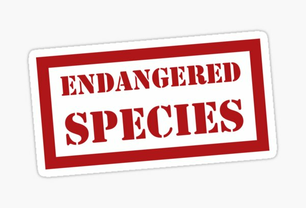 Endangered Font