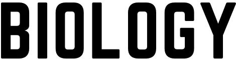 Font name?
