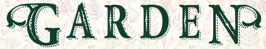 Find font please