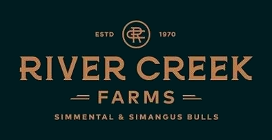 Can someone identify this font?