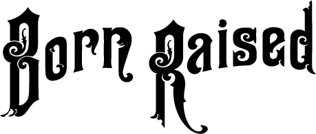 Please, what the Font? or help me with a similar one