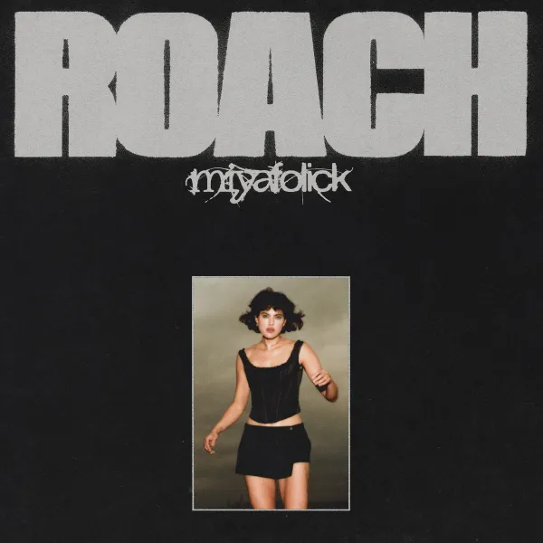 what fonts roach?