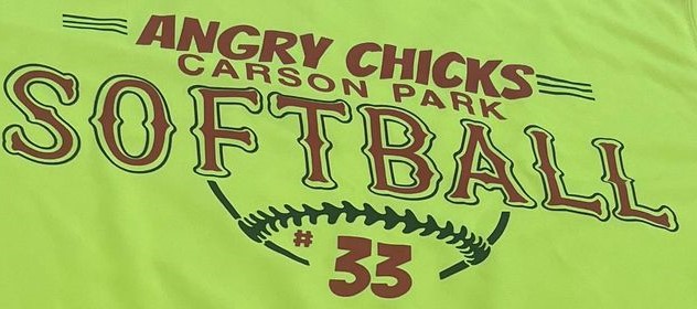 trying to identify this font that angry chicks is in