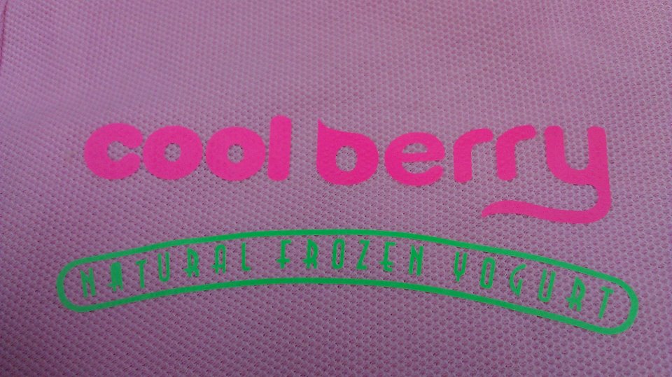 Please identify all fonts on that logo.