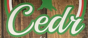What is this font, please.