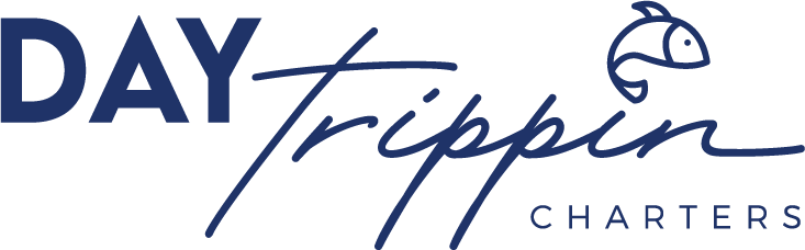 what are these fonts please
