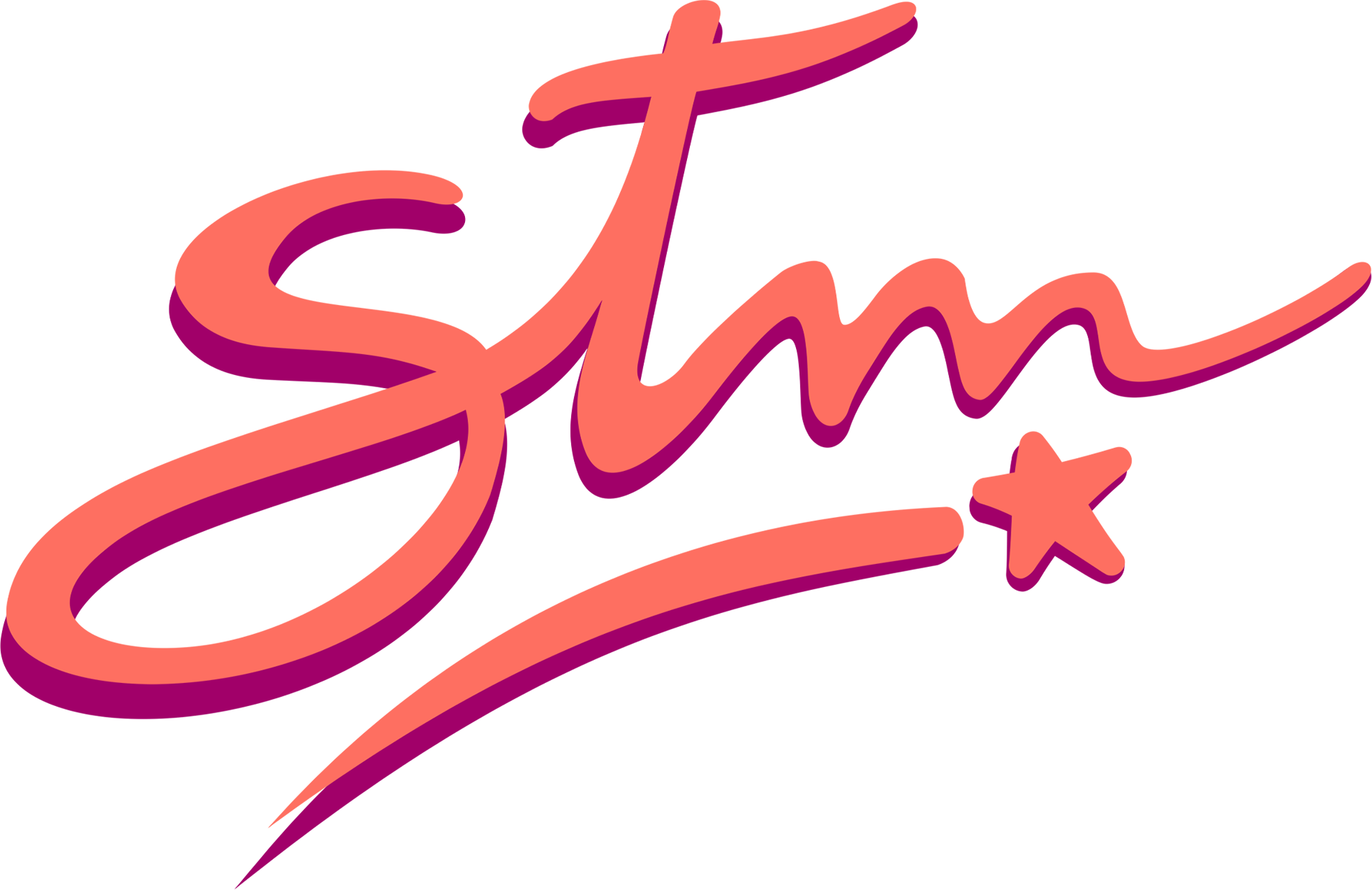 STM: S T Misma Logo