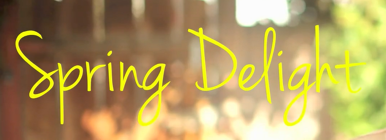 Michelle Phan's font