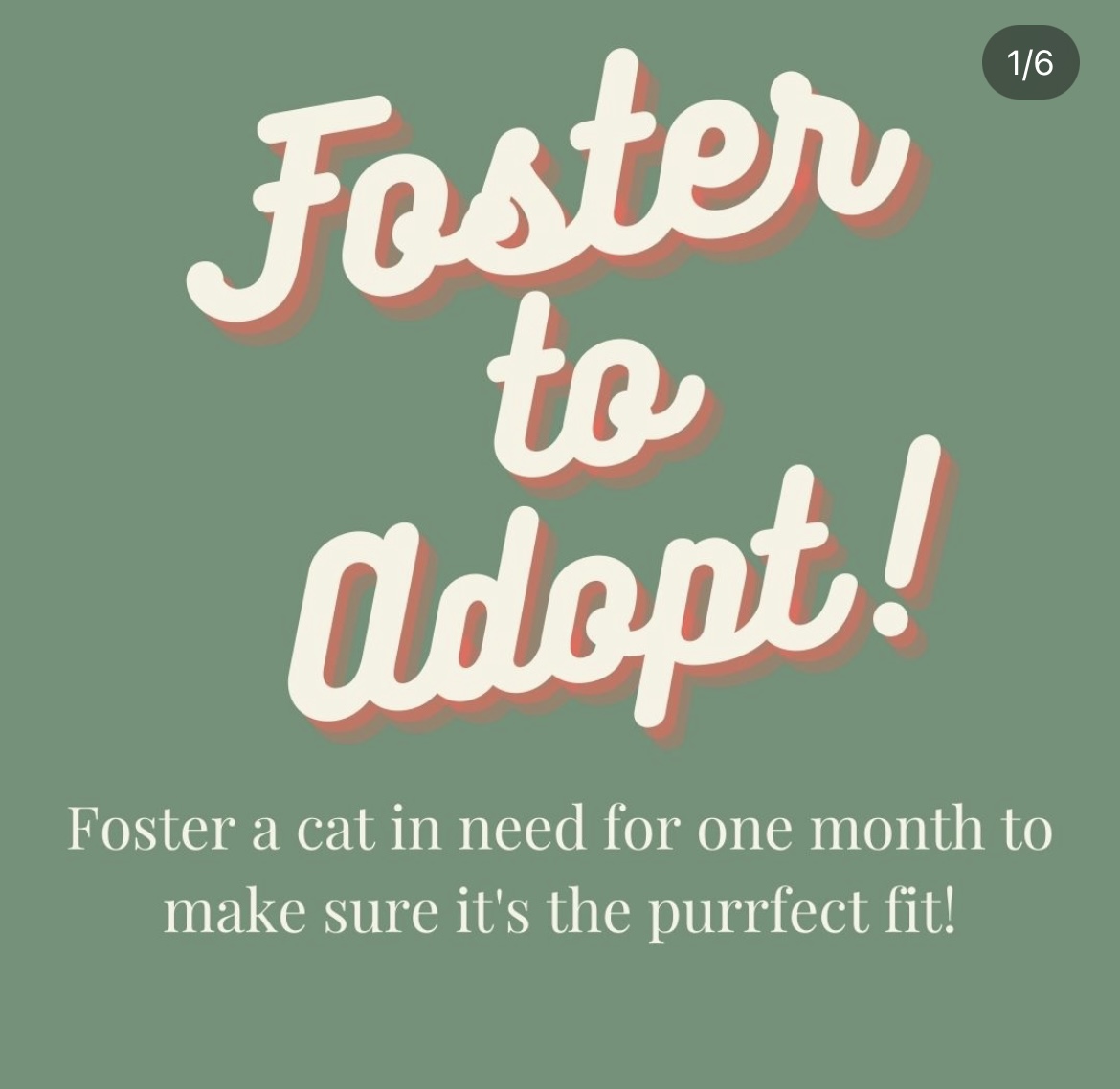What font is this?