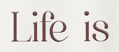 Please help Identify this font