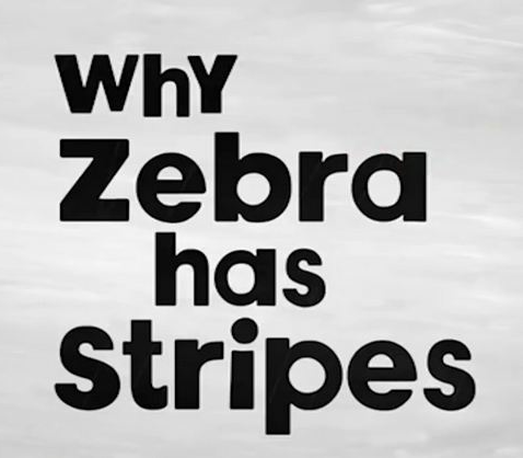 Help me to identify the font please