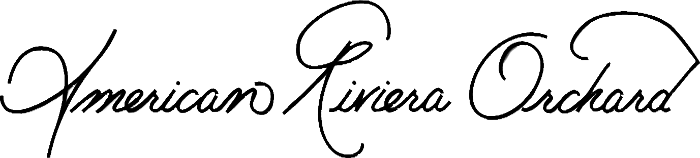 Script font