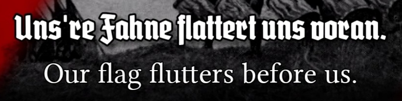 What are those fonts?