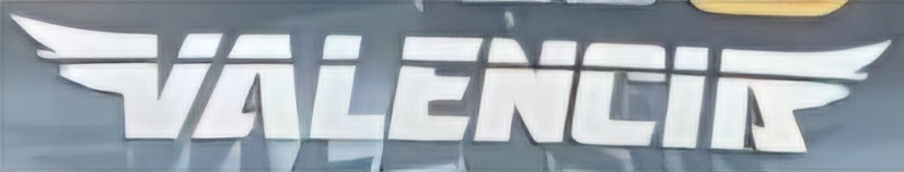 Please hlep find these font