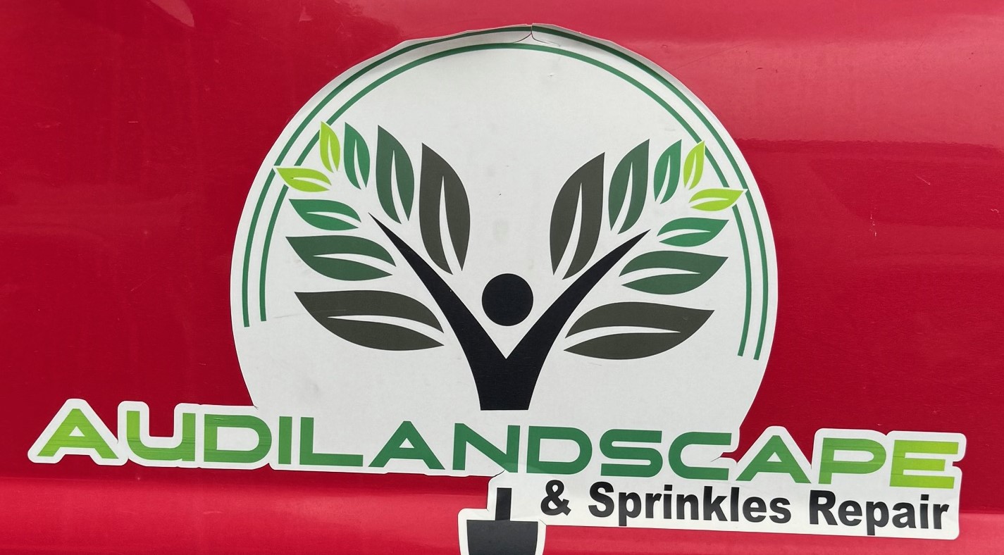 HI GUYS, CAN ANYONE KNOW THE NAMES OF THE FONTS ON THIS LOGO?