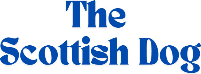 What's this font?