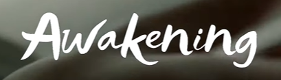 What font it is?