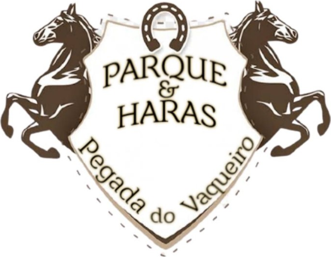 texto