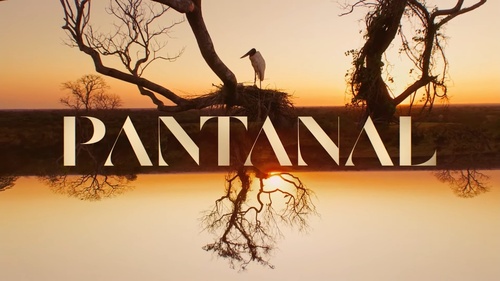 Logotipo pantanal 2022