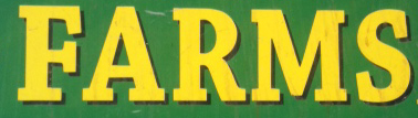 Basic Font ID???