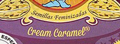 What font is this, help?