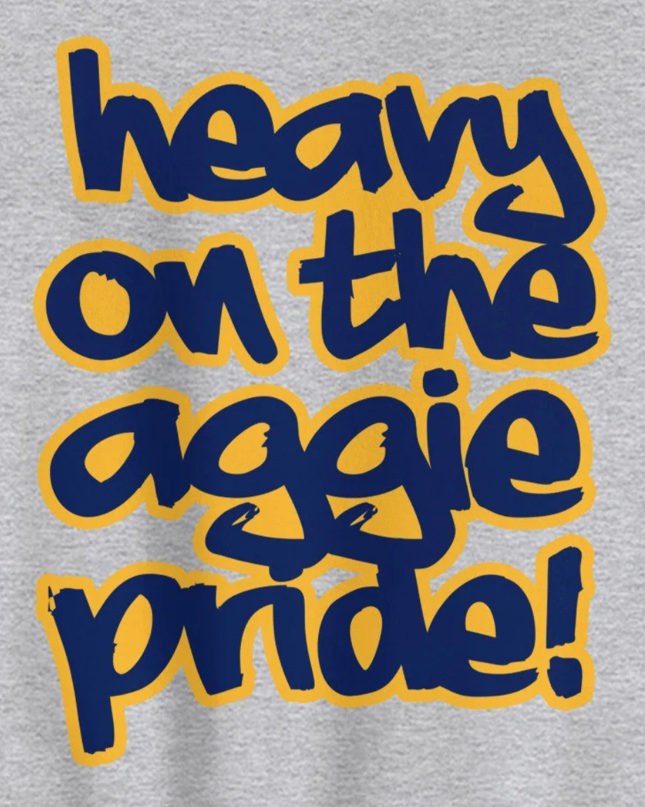 Need help with a font please !