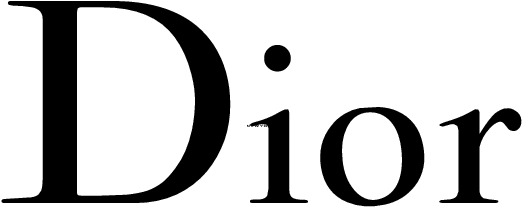 DIOR Logo its history meaning and style  WOO Branding