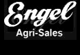 looking for font