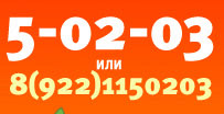 phone number