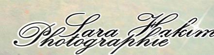 this font pllz