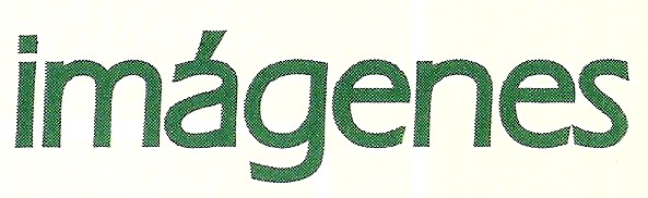 what font is??
