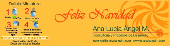 please! "feliz navidad" font name.