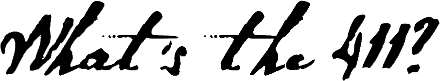 "What's the 411?" font?
