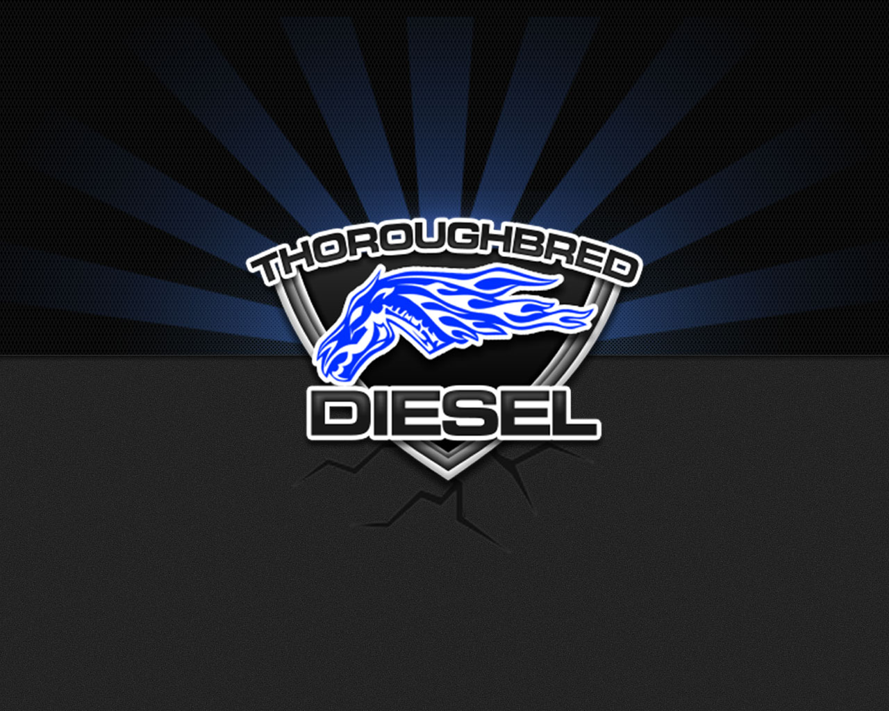 Логотип дизель. Эмблема дизель. Фирма дизель. Логотип компании дизель. Заставка Diesel.