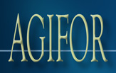 what font is?