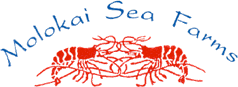 My Logo Font, Help!