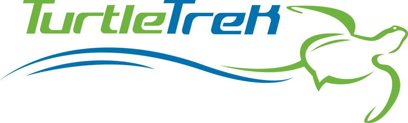 TurtleTrek logo font?