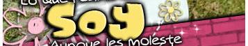What is the font "SOY"?