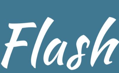 Flash - Please help me identify this font