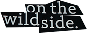 FONT PLEASE!!!!!