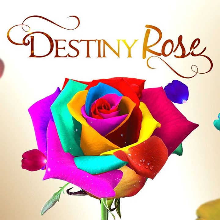 Destiny Rose Font Help