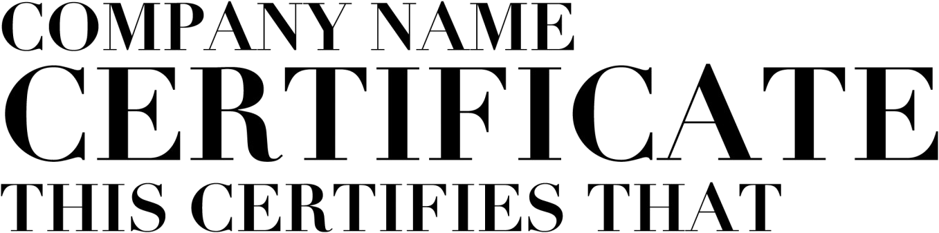 what is this font ?