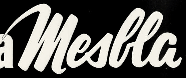 Por favor,qual  o nome dessa Font ?