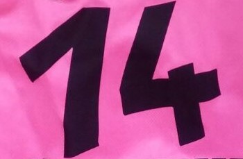 Font Identification