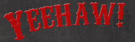 Need help with this font please